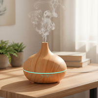 Diffuseur d'huiles essentielles pour la maison et l'hôtel, alimenté par USB, humidificateur d'aromathérapie 300 ml, brume froide silencieuse, chambre/salon