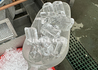 Machine à glaçons tubulaires automatique à refroidissement par air, à économie d'énergie, de 1 tonne, pour usage industriel, SINDEICE, fourniture directe d'usine
