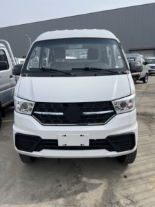 Camioneta Económica de 1 Tonelada con Cabina Doble y Plataforma Plana para Suministros de Jardinería - Product Image 4