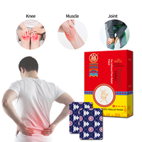 Patch de soulagement de la douleur musculaire du fabricant Lijitang Composant clé chinois Thérapie de rééducation Fournitures Plâtre chinois