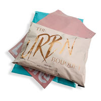 Sacs d'expédition en plastique à soufflets, inodores, sur mesure, pour petites entreprises, livres, papeterie et expéditions de vente au détail locale