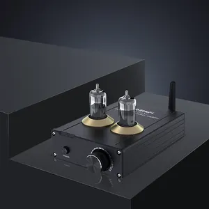 BRZHIFI Hifi Level Black Golden Aluminum Classic 50w*2 BT 5.0 Wireless Vacuum Tube Power Amplifier