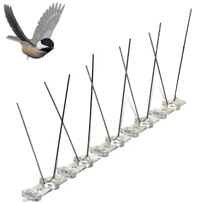 البولي كاربونات مكافحة حمامة مكافحة الطيور المسامير الفولاذ المقاوم للصدأ 5 دبوس الطيور ارتفاع عدة الطيور السيطرة الطيور