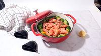Casserole ronde en fonte émaillée, cocotte 23CM, 2.9L pour la cuisine à domicile, compatible avec les cuisinières électriques, à gaz et à induction