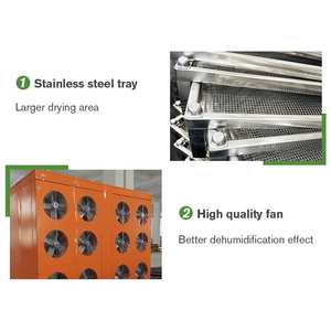 Máquina de secado en seco y deshidratador Industrial de proceso de ajo y Chile de frutas y verduras para Filipinas - Product Image 3