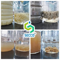 Produits chimiques de floculation et de sédimentation à haute efficacité, polyacrylamide anionique APAM, certifié ISO9001, pureté à 100 %, 25 kg/sac