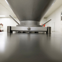 Máquina Embutidora de Salchichas al Vacío Trifásica de Alta Resistencia con Altura de Trabajo Ajustable de hasta 1000 mm
