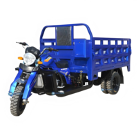 Tricycle à essence 3 roues pour moto à essence lourde, tricycle adulte à grandes roues, tricycle Tuk Tuk, châssis de tricycle avec Wago