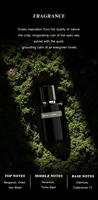 Nouveau Parfum de Marque 2026 – Parfums de Niche de Haute Qualité – Stock Chine – Parfums Corporels en Gros pour Hommes et Femmes