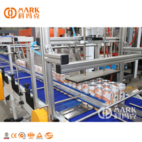 Machine complète de remplissage et de scellage de boissons gazeuses pour le lavage des canettes/ligne de production de conserves de boissons