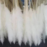 Haute qualité véritable naturel Beige lapin queues sec moelleux pampa herbe matériel décor intérieur Bouquet Arrangement de mariage