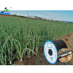 Wheat onion irrigation system on 4 hectares dual drop 15cm spacing 16mm drip tape 1000 meters drip hose 16 mm