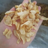 Bulbes de lys épais et de grande qualité, sélectionnés, pour soupes, bouillies et ingrédients naturels pour desserts - Vente en gros