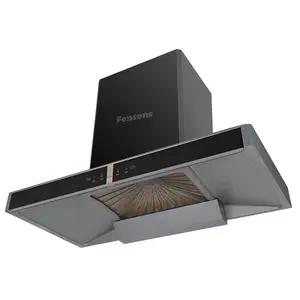 Extractor de chimenea de cocina eléctrico Fensons de acero inoxidable rociado OEM ODM