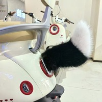 2026 En gros Queue électrique en peluche détachable à commande vocale par télécommande à velcro, décoration arrière de voiture, animal d'anime japonais