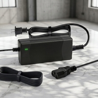 Cargador de Alta Eficiencia LiFePO4 de 109W 54.7V/2A con Control de Temperatura Integrado para Climas Fríos y Entornos Industriales