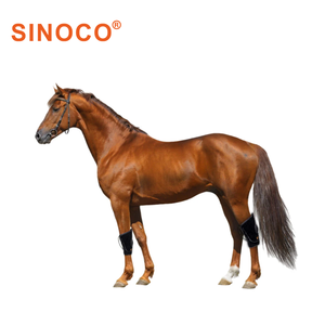 Penjualan bagus kuda peliharaan dapat dipakai 660nm 850nm Led lampu merah dekat lampu inframerah terapi lampu Led pereda nyeri untuk kuda lutut - Product Image 2