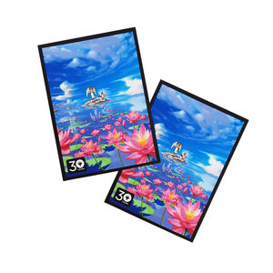 アートプリントカードスリーブYugioh MTG TCGプリントカードプラスチックゲームゲームカードスリーブ - Product Image 4