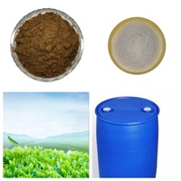Gomme Arabe Naturelle Épaississant Alimentaire Extrait d'Acacia Sénégal Gomme Arabe Poudre Fibre Gomme d'Acacia