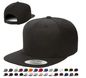 En gros Offre Spéciale bas quantité minimale de commande snapback broderie chapeau logo personnalisé snap back cap