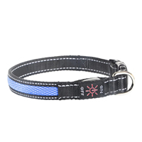 Collier de sécurité pour animaux de compagnie, résistant aux intempéries, réglable, rechargeable par USB, lumineux, collier LED pour chien