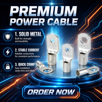 SC25-6 구리 주석 도금 케이블 러그 링 크림프 터미널 튜블러 엔드 커넥터 BOERDA (전기 배선 및 케이블 종단용)