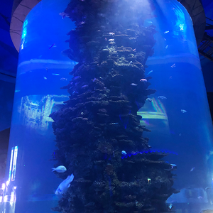 Poissons D'eau salée <span class=keywords><strong>Aquarium</strong></span> Moderne Designable Marin D'<span class=keywords><strong>aquarium</strong></span> d'<span class=keywords><strong>aquarium</strong></span> - Product Image 6