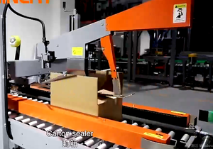 <span class=keywords><strong>Robot</strong></span> de 2 Ejes Económico de Alta Velocidad para Líneas Automatizadas de Envasado de Alimentos y Sellado de Cajas - Product Image 6