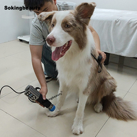 Machine de thérapie par ondes de choc pour animaux, pliable, avec écran, pour la réparation des tendons et le massage par ondes de choc pour chevaux, formation gratuite