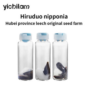 Extraits d'animaux : Sangsues vivantes Hirudo Nipponia pour la thérapie par les sanguesues - Product Image 4