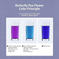Poudre d'extrait de fleur de pois papillon de qualité alimentaire, soluble dans l'eau, matcha bleu, emballée sous vide en fût