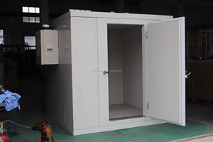 Chambre froide pour blocs de glace de 10 tonnes avec unité de compresseur - Product Image 2