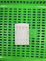 Kit de test vétérinaire rapide Qimai EHR Classe II pour la détection des anticorps Ehrlichia chez le chat et le chien
