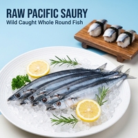 Prix d'usine : Saury du Pacifique entier, congelé en vrac (Cololabis Saira) – Idéal pour la mise en conserve et les ingrédients de sushi
