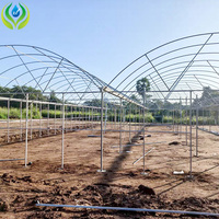 Film Plastique MYXL pour Serre Agricole, Résistant aux UV, Serre Tunnel Hydroponique en PE pour Légumes, Faible Coût