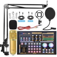 Interface audio Carte son Microphone pour podcast XLR Changeur de voix Kit de microphone d'enregistrement pour téléphone portable Mixeur