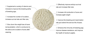 Thức ăn Trộn Sẵn Chất lượng cao cho gia cầm và gia súc giàu dinh dưỡng hơn cho sức khỏe tối ưu - Product Image 2