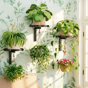 Mensola in Metallo <span class=keywords><strong>da</strong></span> Parete per Piante con Ganci, Porta Vasi <span class=keywords><strong>da</strong></span> Interno, Vassoio per Bagno <span class=keywords><strong>Uccelli</strong></span> <span class=keywords><strong>da</strong></span> Esterno per Balcone e Giardino - Product Image 1