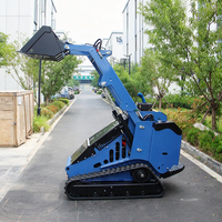 Penjualan Pabrik Cina CE/EPA Track Mini Skid Steer Loader Dengan Bucket Trencher Rotary Plow