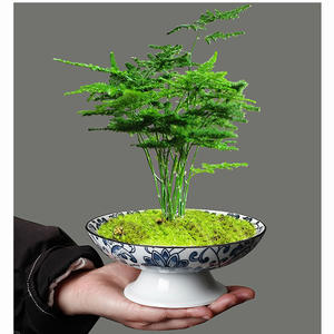 <span class=keywords><strong>Assiette</strong></span> à fruits en céramique, Pot de fleur à pieds bol de service de bonbons <span class=keywords><strong>assiette</strong></span> d'amuse-gueule plats à salade de Dessert pour la maison - Product Image 2