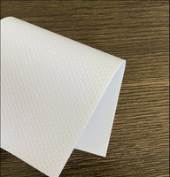 Bâche en PVC Vinyle 600 Gsm Vinyle PVC Matériel robuste pour la couverture de camion et de tente