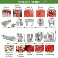 Ligne de production automatique de concentré de tomate, machine de fabrication de sauce, usine de transformation, Chine, à vendre