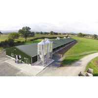 Lonte - Nueva Granja Avícola de Diseño Moderno con Estructura de Acero Prefabricada para Pollos de Engorde/Reproductoras, Ideal para Taller, Casa de Campo o Garaje/Almacén