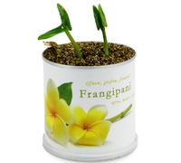 Pot Tanaman Herbal Jendela, Kaleng Bunga, Pot Lantai, Ramah Lingkungan, Desain Modern, Pot Logam Tahan Lama