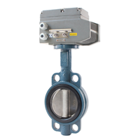 Vanne à opercule électrique AC220V en fonte ductile à siège souple pour le contrôle des conduites d'eau, garantie de deux ans