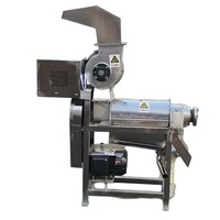 Grote fruitpers voor peren, industriële machine voor het vermalen en persen van groenten, sinaasappels en ananas