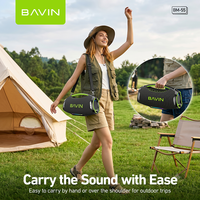 Haut-parleur karaoké portable sans fil BAVIN avec logo personnalisé OEM ODM BM55 250W 12000mAh Batterie BT5.3