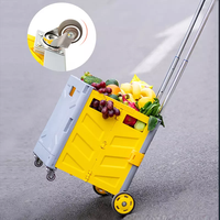 Petit chariot pliable pour supermarché, 4 roues, chariot en plastique pliable pour le camping