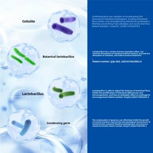 पालतू आंत स्वास्थ्य पूरक पोषण प्रोबायोटिक्स दस्त उपचार कुत्तों और बिल्लियों के लिए पाचन को बढ़ावा देता है - Product Image 2