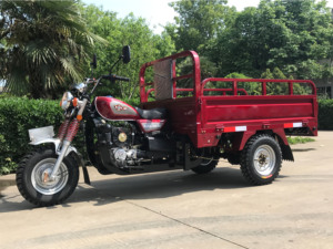 <span class=keywords><strong>Moto</strong></span> 9 '', chariot de charge haute, <span class=keywords><strong>moto</strong></span> 200cc, tuk, moteur essence pour adulte - Product Image 5